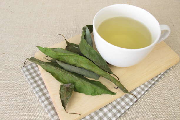 Chá de Folha de Abacate: Descubra os 6 Benefícios Incríveis