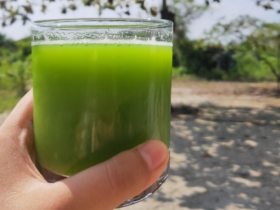 Suco Detox refrescante para limpar o organismo