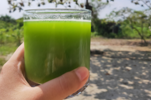 Suco Detox refrescante para limpar o organismo