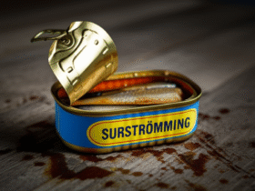 Surströmming: A iguaria sueca de arenque fermentado