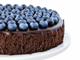 Deliciosa Torta de Chocolate com Mirtilos Frescos