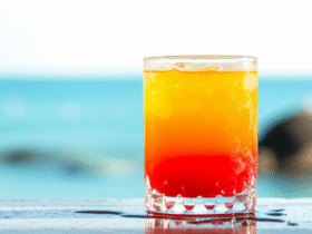 Sex on the Beach: O Drink Refrescante do Verão