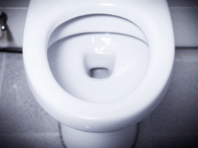 Vaso Sanitário Encardido Nunca Mais: Guia Completo de Limpeza
