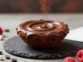 Disco Voador Proteico do Cacauzinho