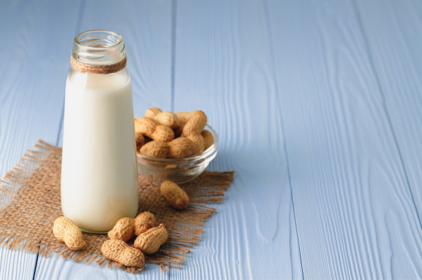 Leite de Amendoim. O leite vegetal mais barato e rico em proteínas 1 Leite de Amendoim. O leite vegetal mais barato e rico em proteínas