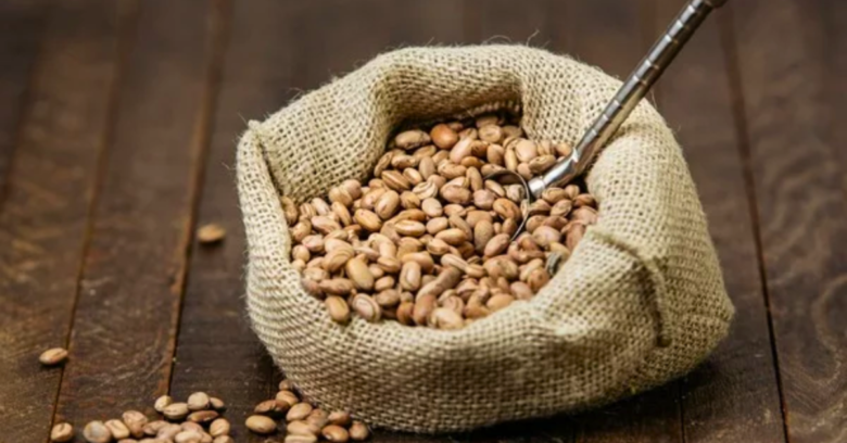 Pinto Beans: The New Fitness Superfood? 1 Feijão Carioca Pode Suplantar o Whey Protein