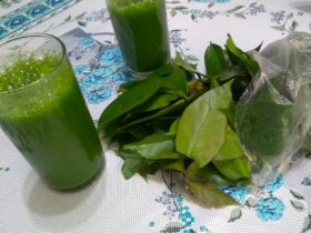 Suco Protetor de Imunidade: Ora-pro-nóbis com limão e maçã 6 Suco Protetor de Imunidade: Ora-pro-nóbis com limão e maçã