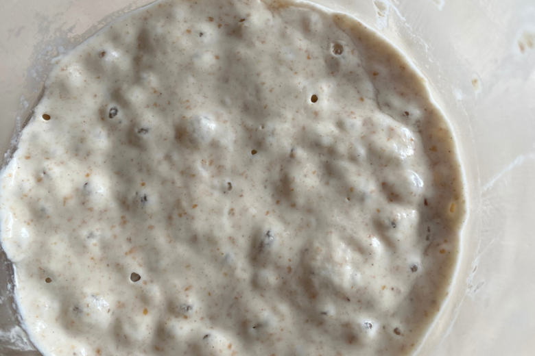 Fermento Natural de Maçã: O Segredo para Pães Caseiros Perfeitos 1 Fermento Natural de Maçã: O Segredo para Pães Caseiros Perfeitos
