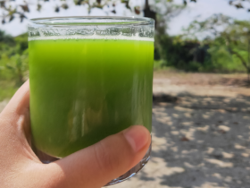 Suco Detox refrescante para limpar o organismo 9 Suco Detox refrescante para limpar o organismo